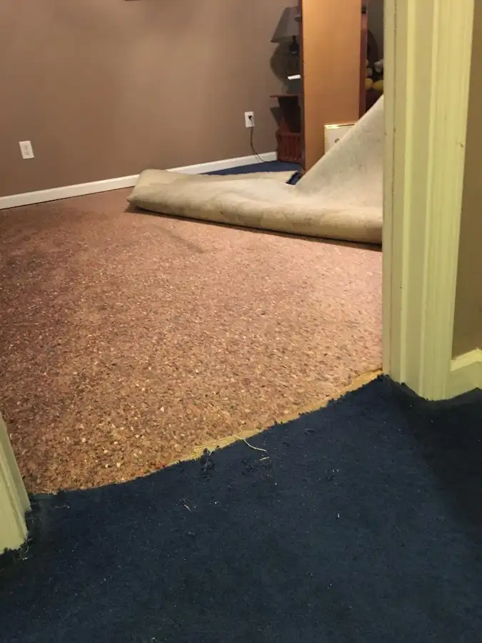 Carpet pad removal revealing water damage during Drying & Dehumidification in Oneonta