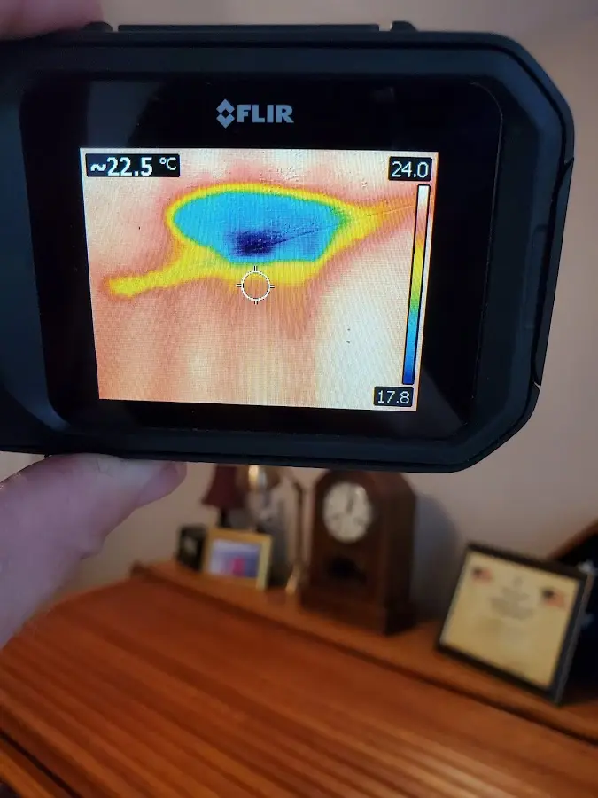Thermal imaging inspection for water damage in Oneonta